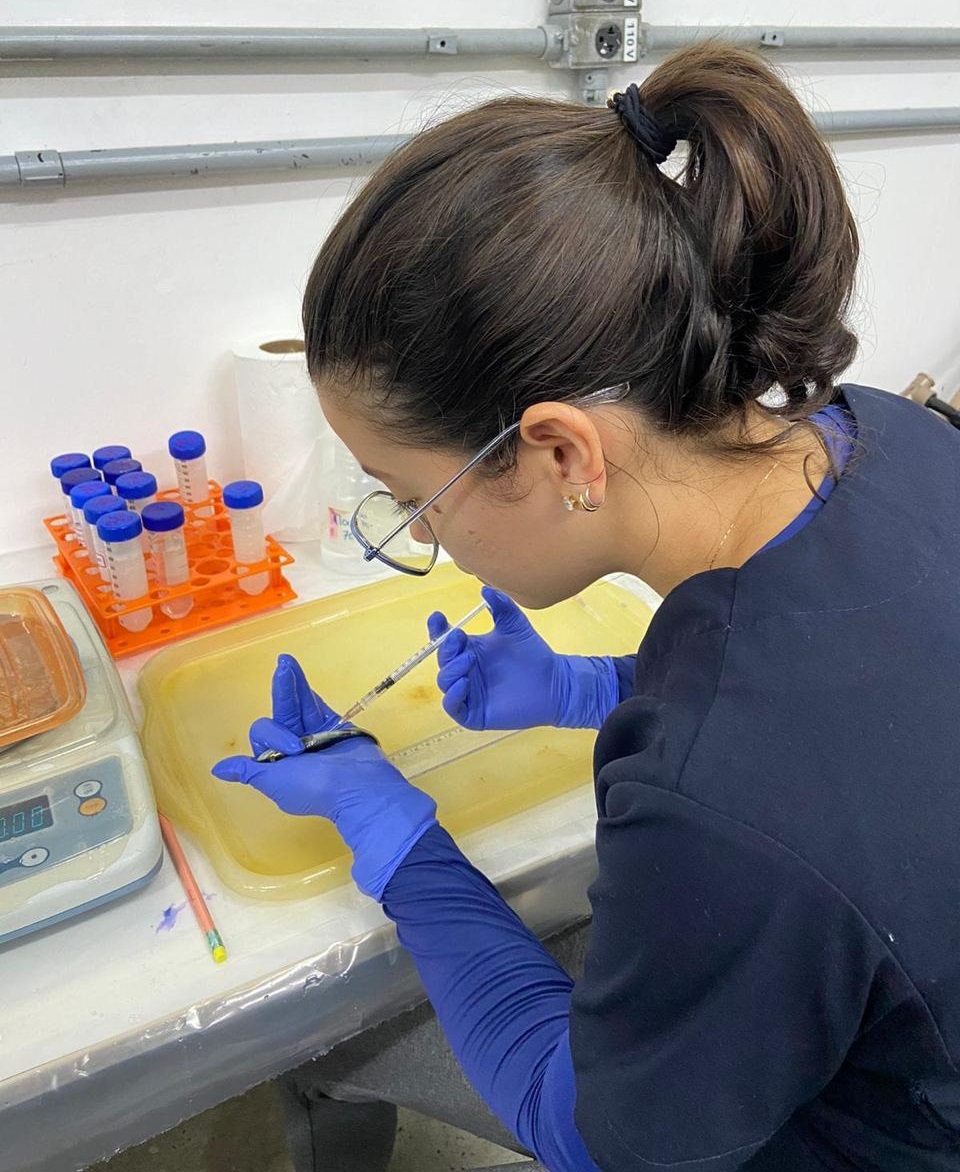 Inscrições abertas para Mestrado e Doutorado em Aquicultura na Nilton Lins