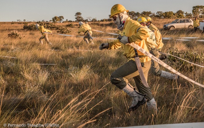 Aberto edital de contratação de mais de 134 brigadistas