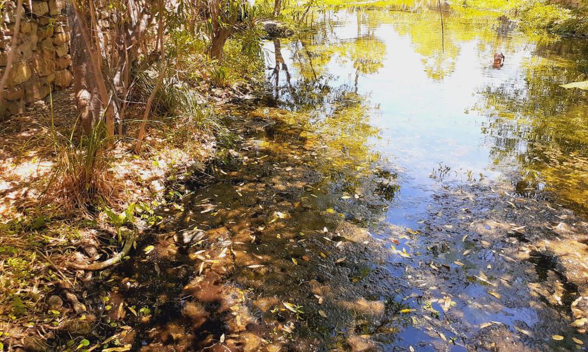 Desperdício de água tratada em Manaus chega a 54%, afirma concessionária