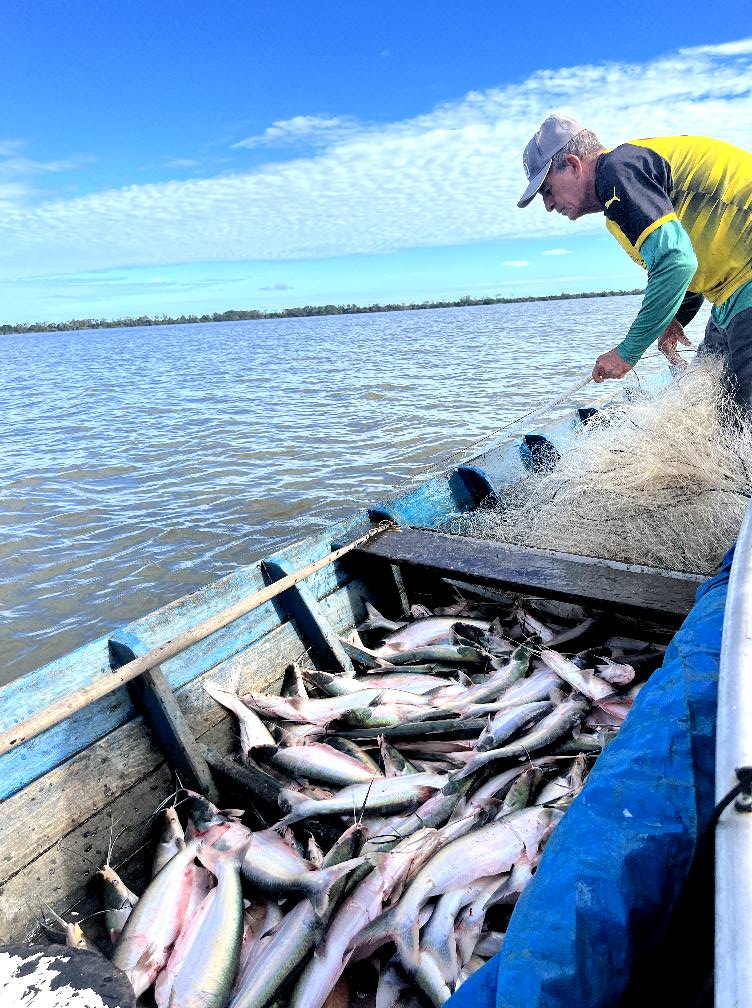 Exploração de petróleo na Foz do Amazonas pode prejudicar pesca no Pará
