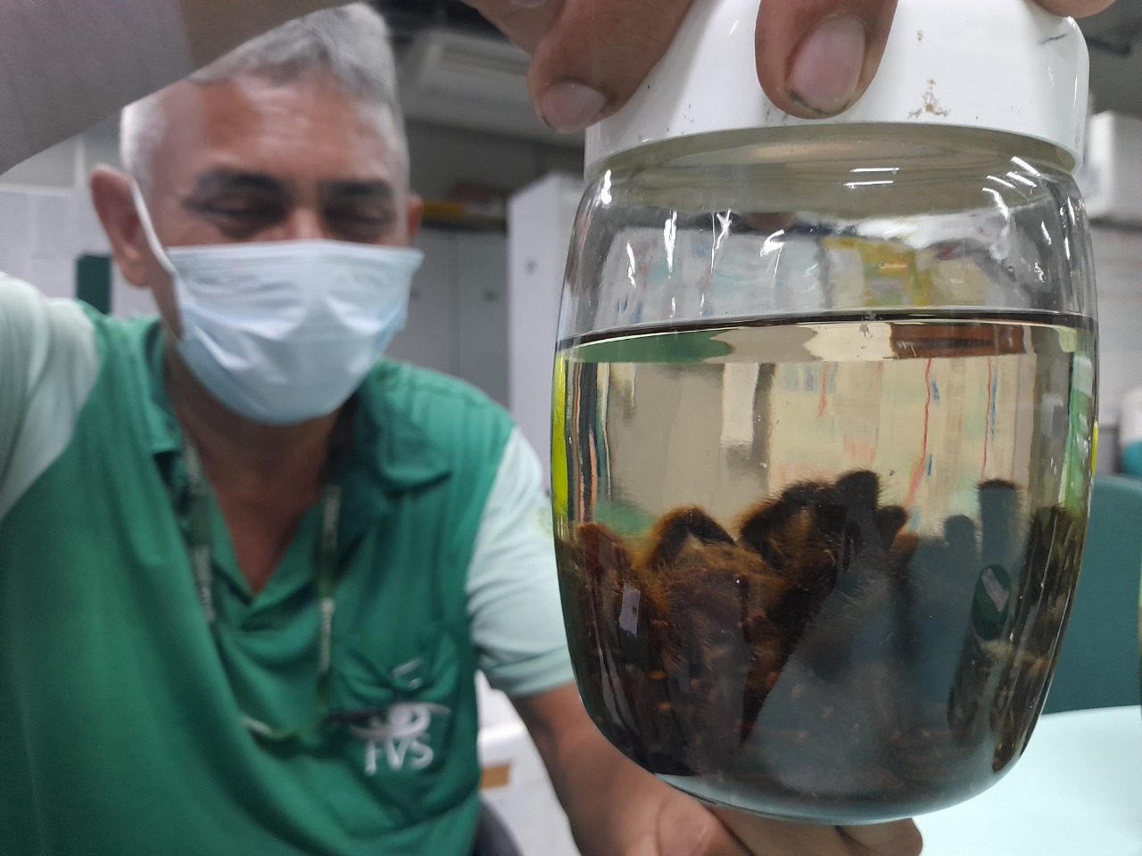 Acidente com animais peçonhentos aumenta com cheia dos rios no Amazonas