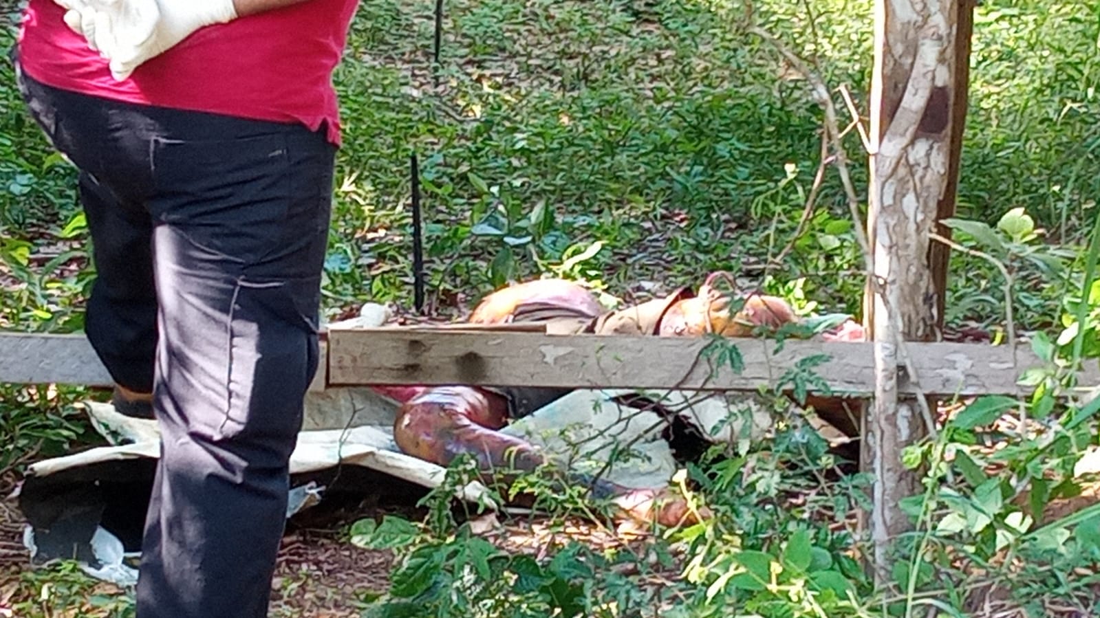 Corpo em estado de decomposição é encontrado em ramal de Iranduba