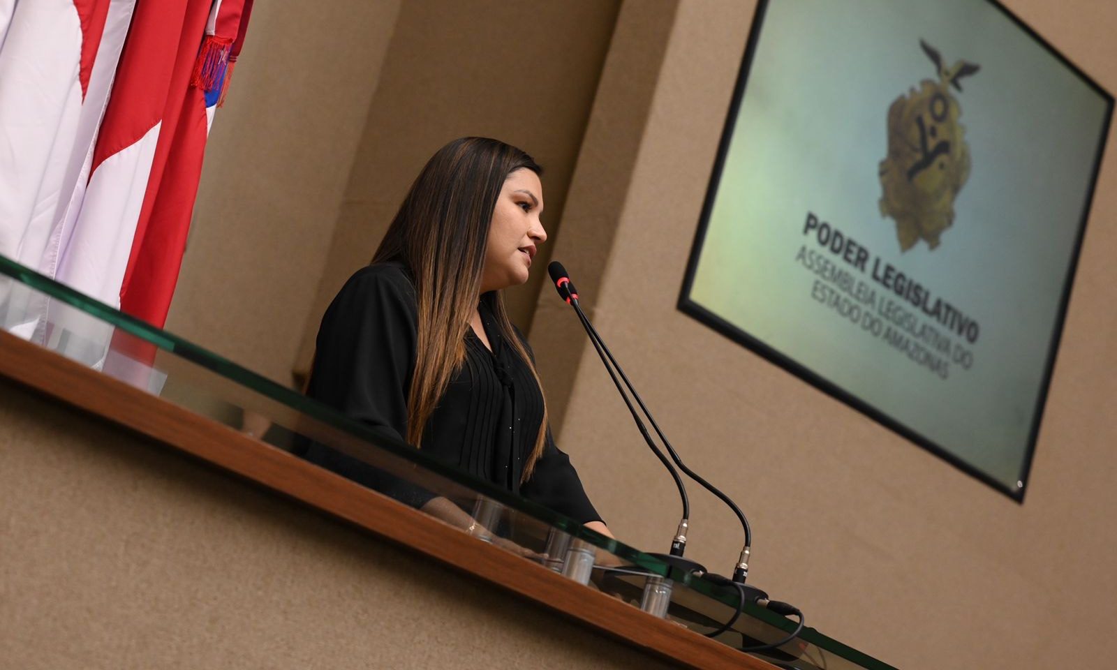 Controle Reprodutivo de Animais é questão de saúde pública, diz deputada