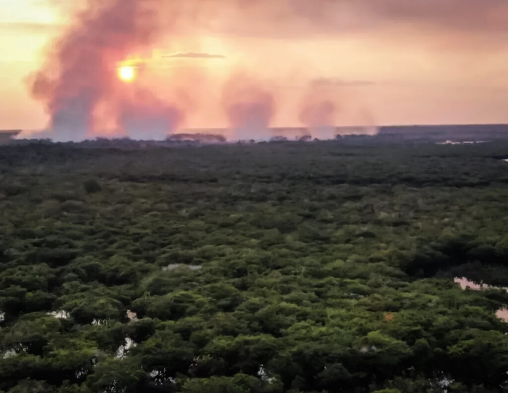 Incêndio de grandes proporções atinge Parque Nacional do Jaú, no Amazonas