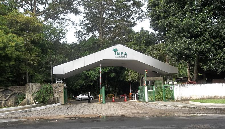 Com bolsas de até R$ 4 mil, Inpa prorroga inscrições para Programa de Capacitação