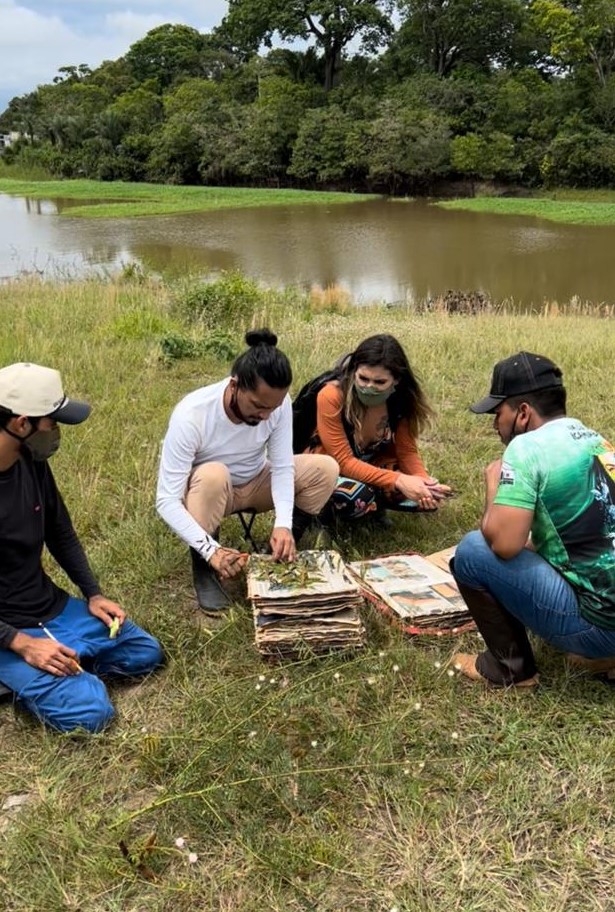Projeto da Ufam já coletou mais de 750 espécies de plantas para estudos