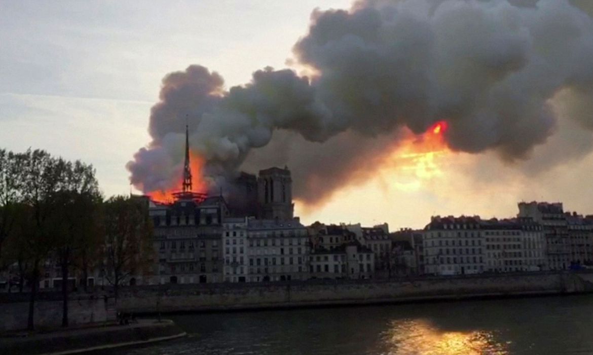 Autoridades florestais buscam árvores para reconstruir Notre-Dame