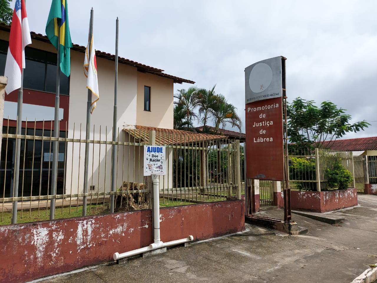 MP acompanha ações para castração de animais de rua no interior do Amazonas