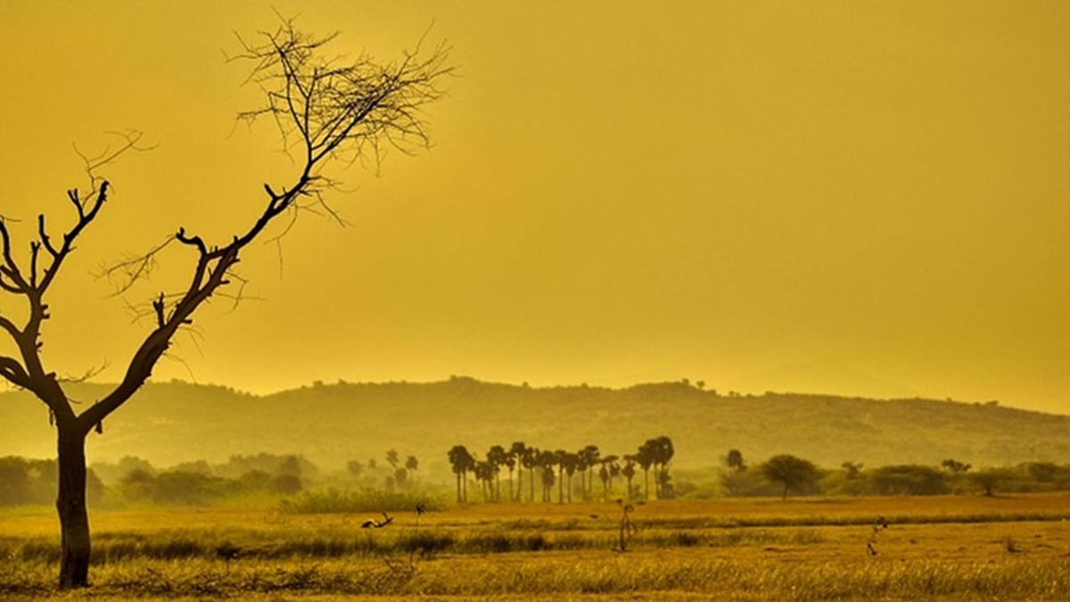 Aquecimento global: mudanças podem ser irreversíveis entre 2040 e 2050