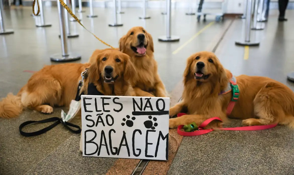 Após morte de Joca, tutores se manifestam em aeroporto