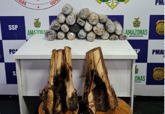 Trio é preso transportando drogas em mudas de bananeira no Amazonas