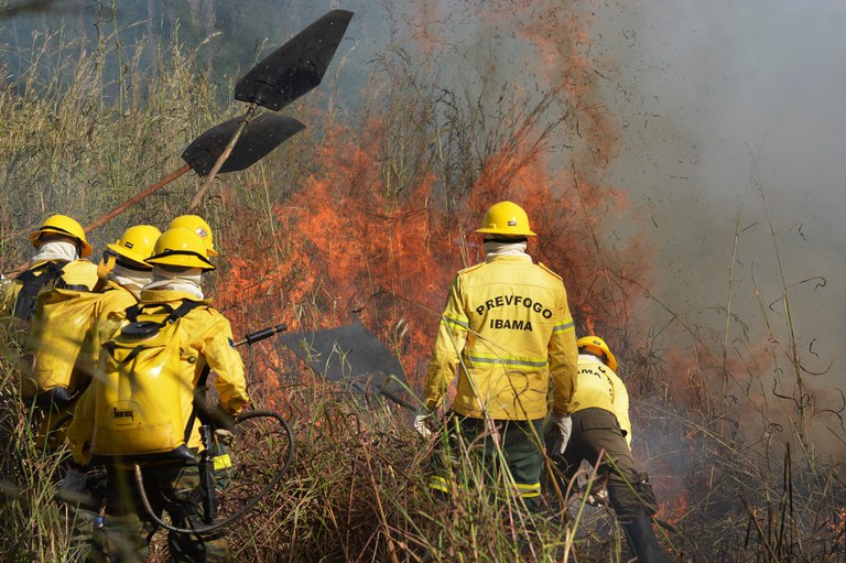 Ibama planeja ações preventivas contra incêndios florestais no Amazonas