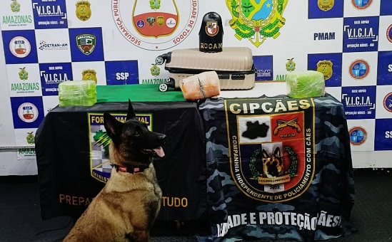 Drogas avaliadas em R$ 500 mil são apreendidas dentro de mala em Coari