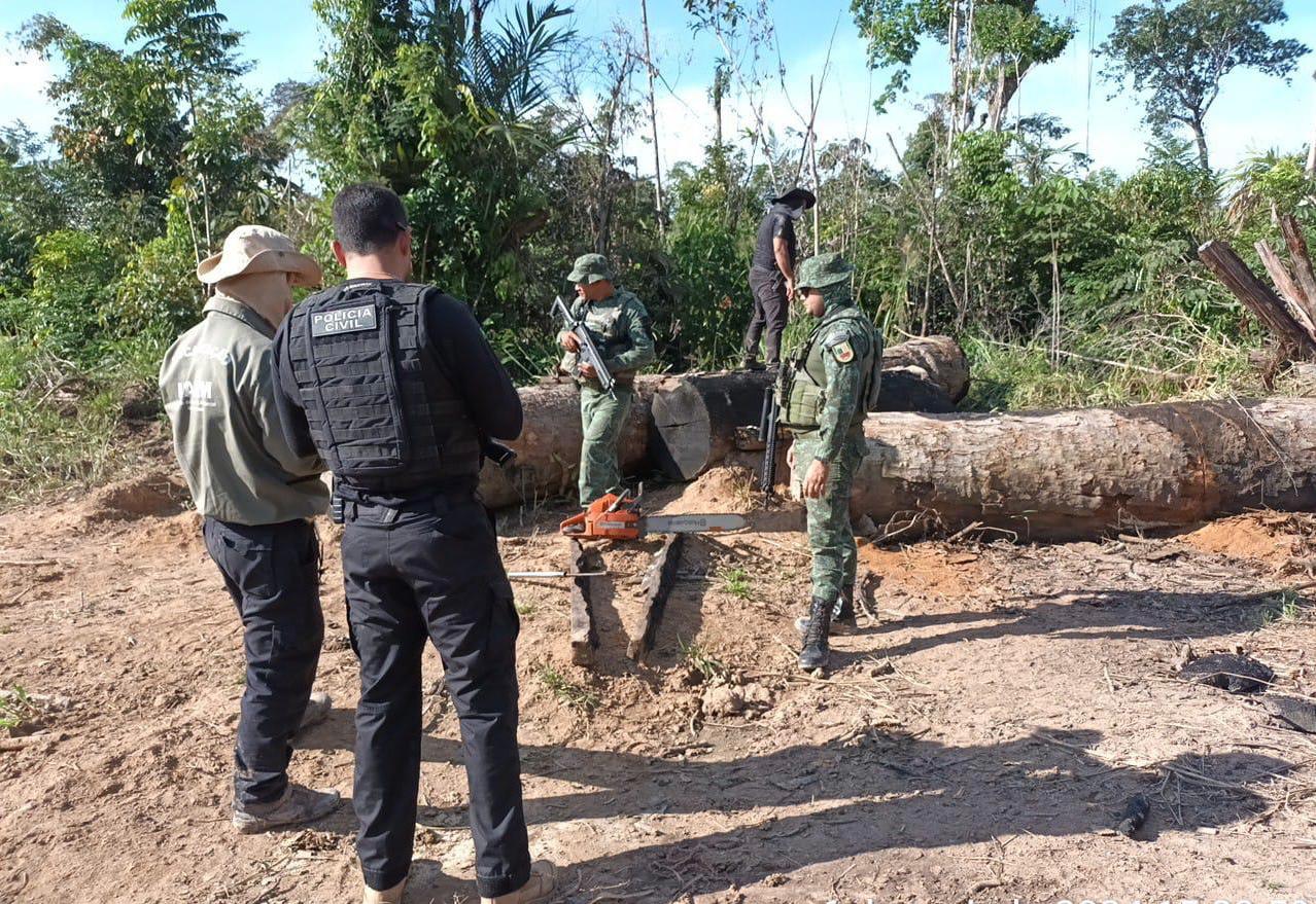 Polícia apreende armas, munições e motoserras em Humaitá