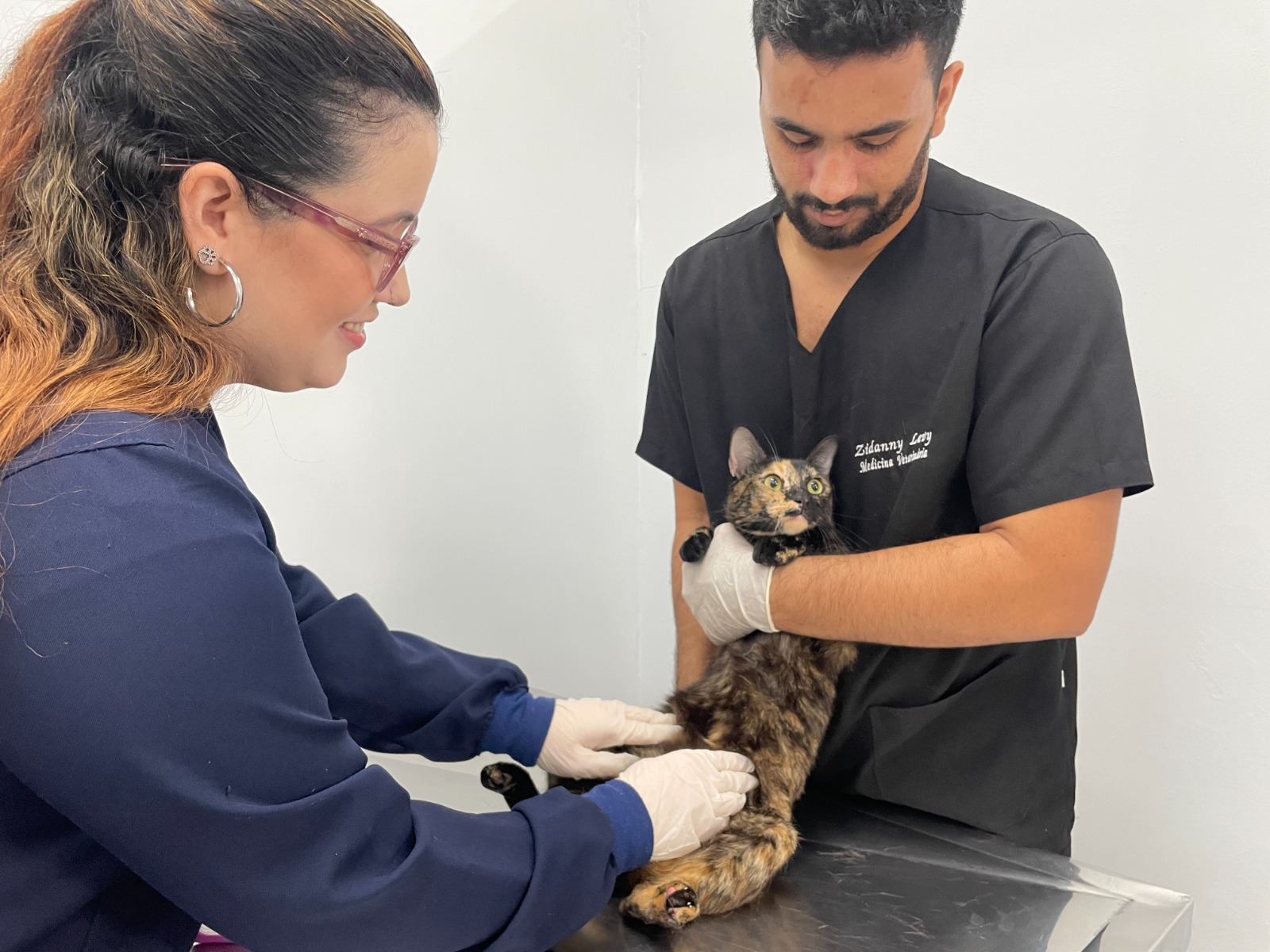 Julho Dourado alerta para importância da vacinação e check-ups veterinários