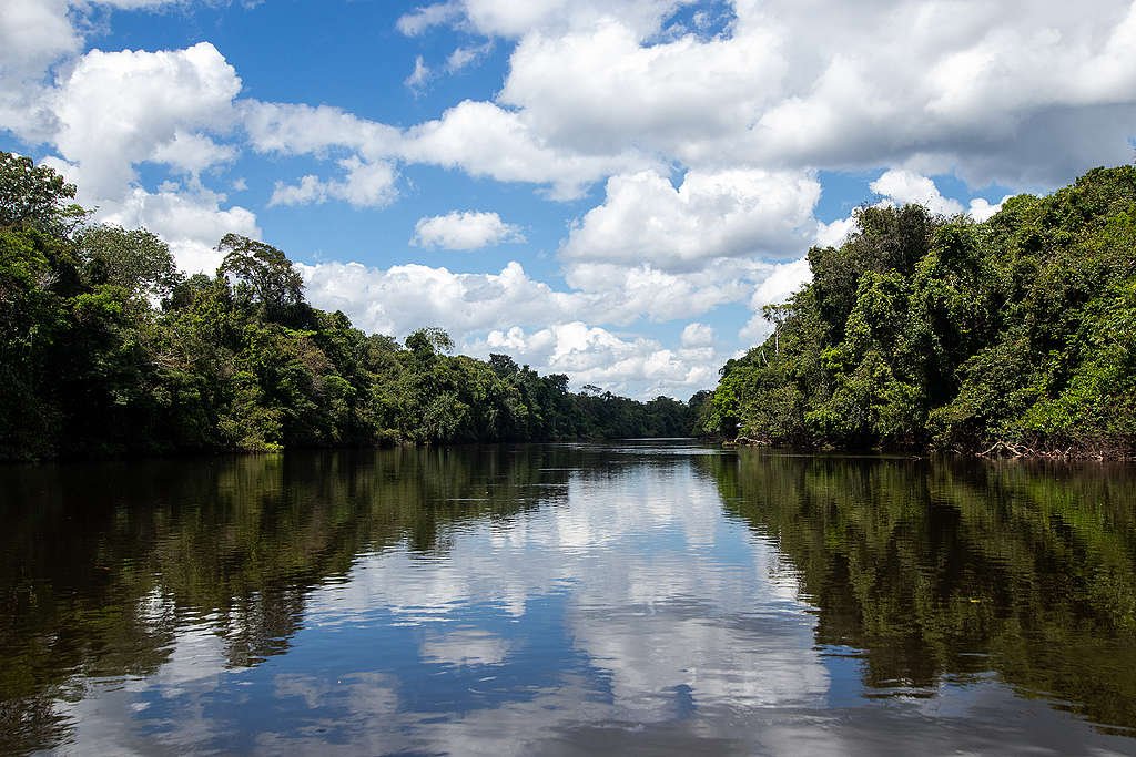 Militares voltarão à atuar contra o desmatamento na Amazônia 