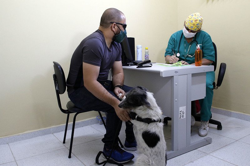 Manaus passa a ter novo local de atendimento para profilaxia da raiva humana