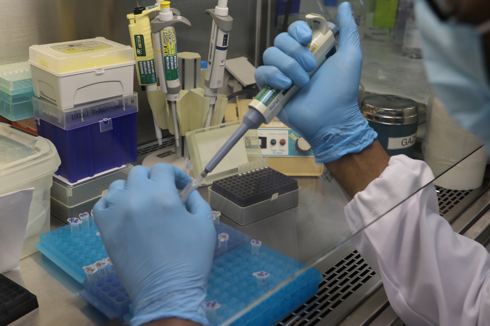 Amazonas tem 15 mortes, totalizando 13.197 óbitos por Covid-19