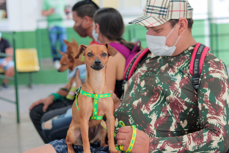 Vacinação Antirrábica em Manaus segue na zona Sul e inicia na zona Oeste