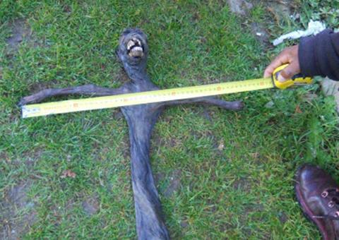 "Alien" morto assusta moradores na África do Sul