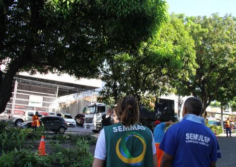 Prefeitura de Manaus conclui o manejo da arborização na Cachoeirinha