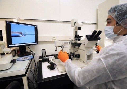 Cronoterapia melhora eficácia de tratamentos contra câncer