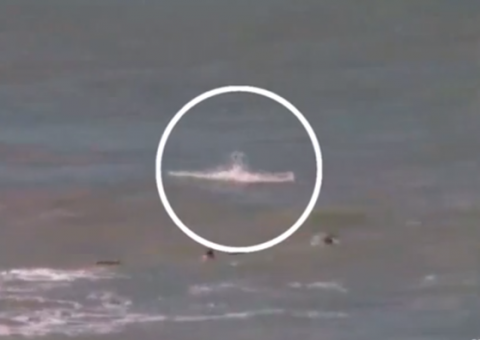 Vídeo de turista que morreu atacada por tubarão em praia de Recife circula na internet