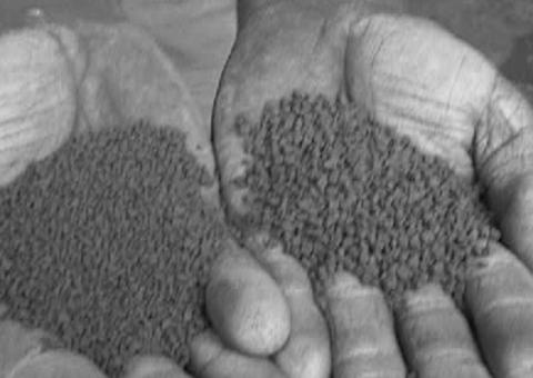 Academia recebe autorização da PF para comprar pólvora e munições