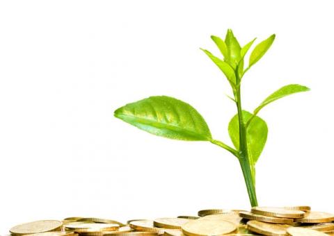 Economia verde na pauta de discussões em Manaus