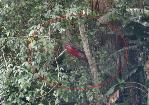 Carro cai em barranco na Avenida do Turismo