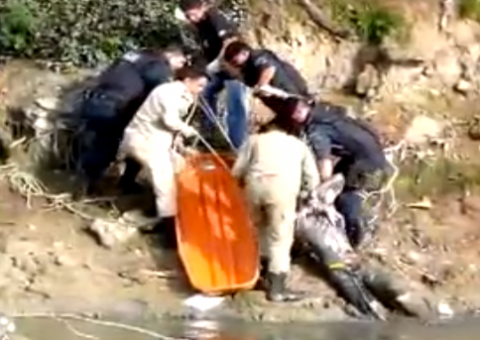Veja vídeo do assalto que terminou em morte no Shopping Millennium 