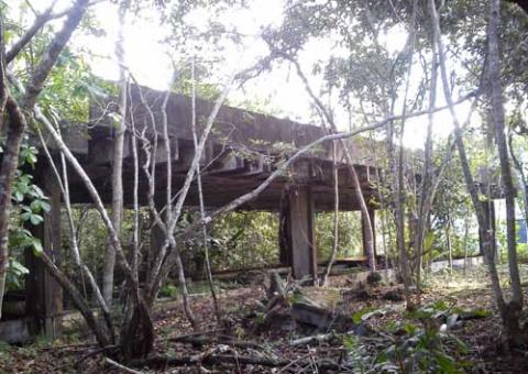  Mata do  campus da Ufam esconde milhões de reais jogados na lixeira