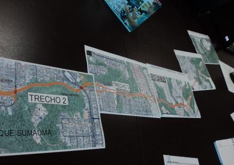 IPAAM estuda resgate de macacos na avenida das Flores   