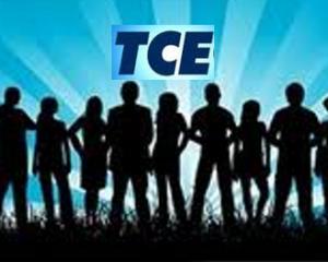 TCE JULGA CONTA ADOLESCENTE