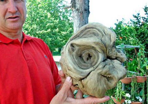 Cabeça de extraterrestre é encontrada em cemitério na Croácia