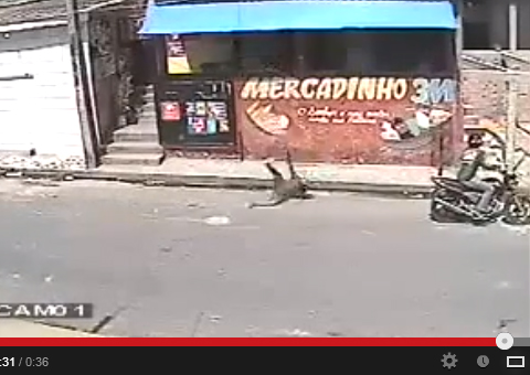 Ladrão de dá mal em mercadinho