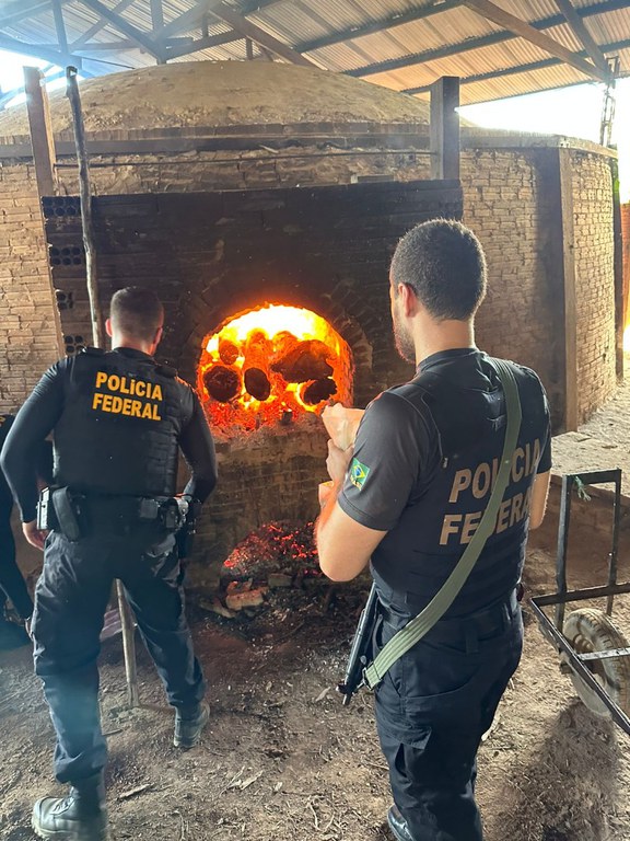 PF destrói mais de meia tonelada de drogas em Tabatinga