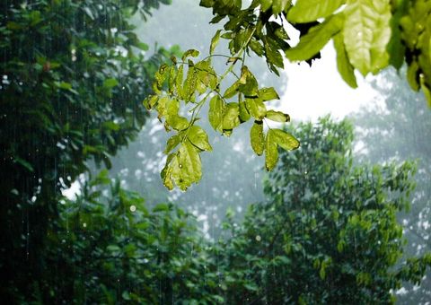 Pesquisadores estudam no Inpa previsão climática para o trimestre