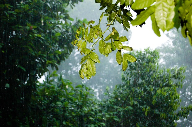 Pesquisadores estudam no Inpa previsão climática para o trimestre