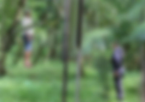 Homem se enforca em árvore no Belvedere