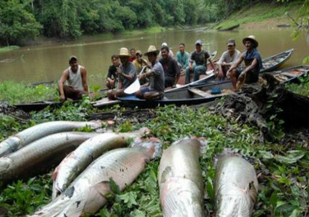 Evento internacional debate aquicultura em Manaus