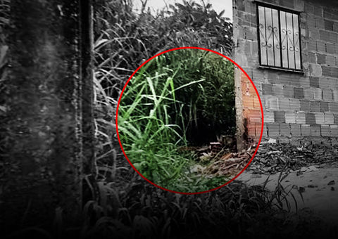 Homem é executado com pauladas e 12 facadas em Manaus