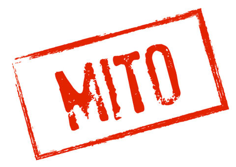 5 mitos sobre saúde que todo mundo acha que são verdade