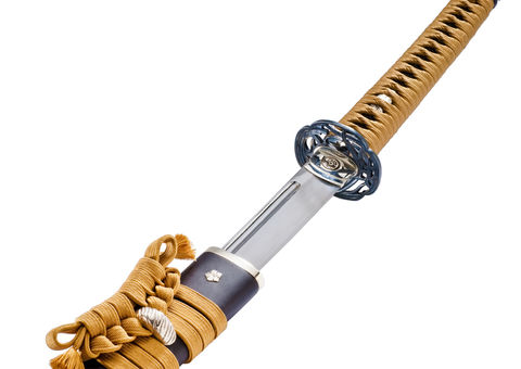 Homem expulsa criminosos de casa com espada samurai