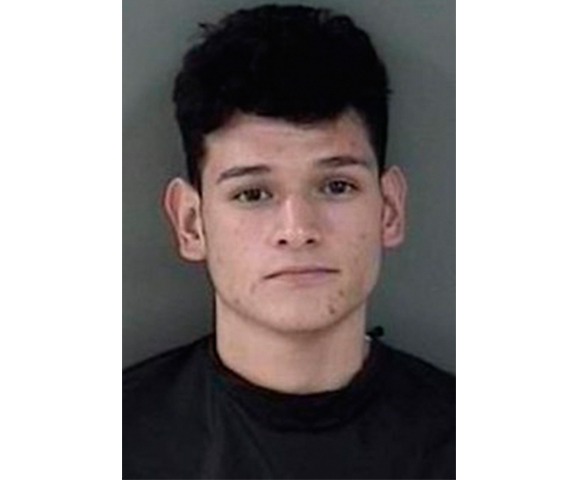 Homem é preso após roubar um vibrador para a amiga