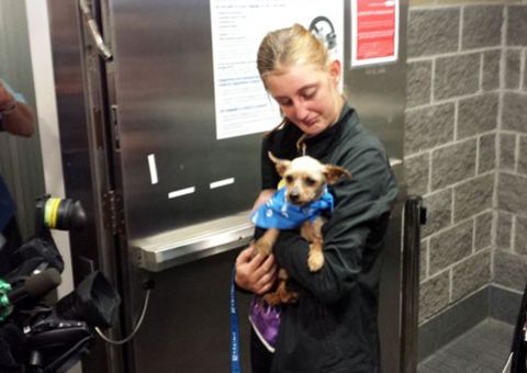 Garota não segura emoção ao rever cão sumido havia 3 anos nos EUA