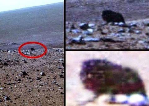 Em Marte, Sonda da Nasa filma possível extraterrestre