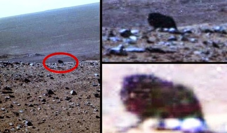 Em Marte, Sonda da Nasa filma possível extraterrestre