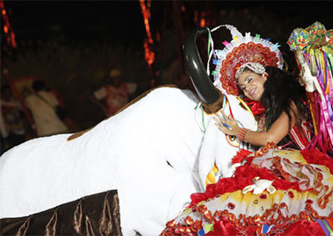 Boi-bumbá Corre Campo comemora aniversário