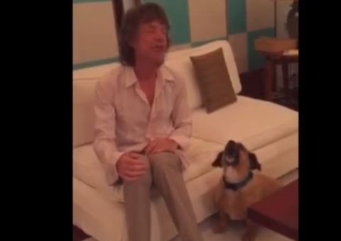  Cachorrinho de Mick Jagger faz sucesso cantando com astro do rock; assista